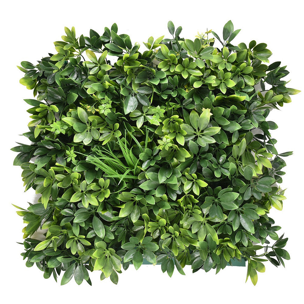Arália műanyag zöldfal 50x50 cm