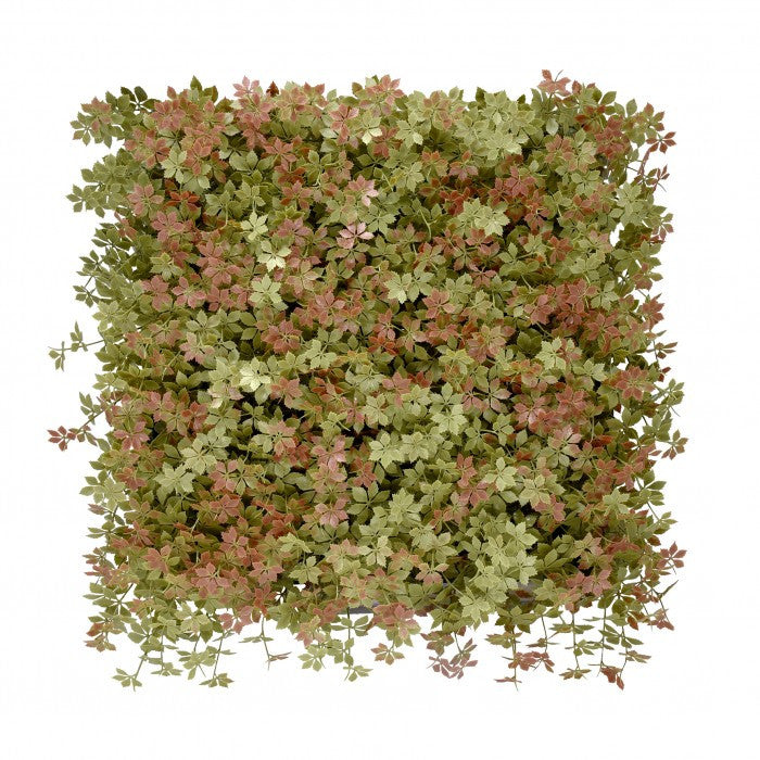 Jiaogulan műanyag zöldfal 50x50 cm