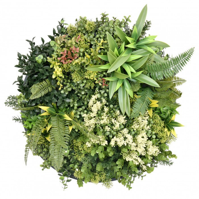 Harmonia I. műanyag zöldfal 50x50 cm