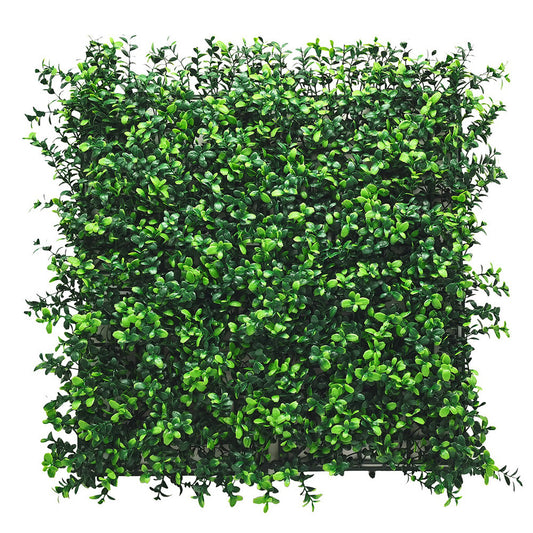 Puszpáng műanyag zöldfal 5x5 cm
