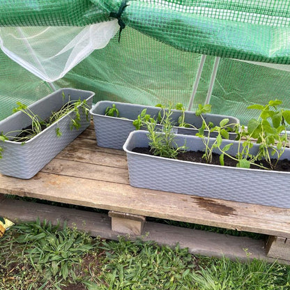 Magágy fólia kertbe ,94x1,4x1,8 m_6